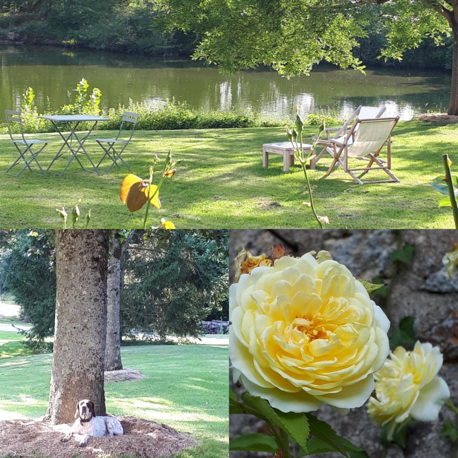 Viévy-le-Rayé Domaine De La Guignardiere المظهر الخارجي الصورة